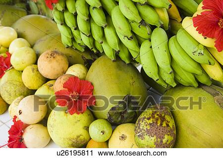 Tropical Fruit and Hibiscus View Large Photo Image Stock Image - Tropical Fruit and Hibiscus. Fotosearch