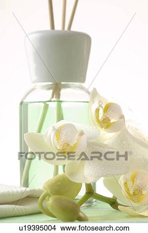 Aroma lamp with aroma sticks and orchid blossoms View Large Photo Image Picture - Aroma lamp with aroma sticks and orchid blossoms. Fotosearch