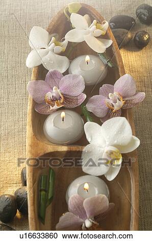 Stock Image - Arrangement of candles and orchid blossoms in a wooden bowl. Fotosearch