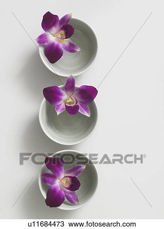 Stock Image - Flowers decorated in tiny bowls. Fotosearch