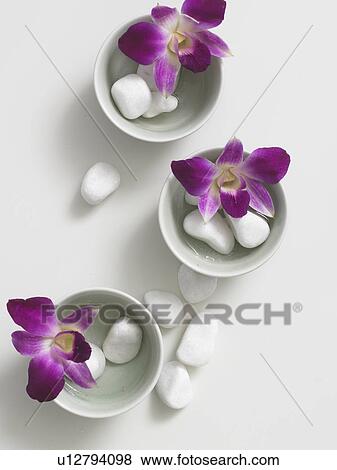 Flowers decorated in tiny bowls, accompanied by pebbles View Large Photo Image Stock Photo - Flowers decorated in tiny bowls, accompanied by pebbles. Fotosearch