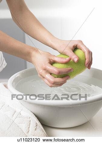 Stock Image - Woman is wringing out a sponge over a washbowl. Fotosearch