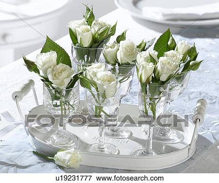 Arrangement of white roses in wine glasses on a tray View Large Photo Image Stock Photo - Arrangement of white roses in wine glasses on a tray. Fotosearch