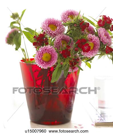 Bouquet of asters View Large Photo Image Stock Image - Bouquet of asters. Fotosearch