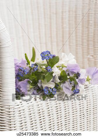 Bouquet of sweet pea and forget-me-not on a bench View Large Photo Image Stock Photography - Bouquet of sweet pea and forget-me-not on a bench. Fotosearch