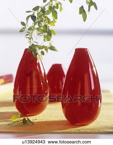 Green twig in a red glass vase View Large Photo Image Stock Image - Green twig in a red glass vase. Fotosearch