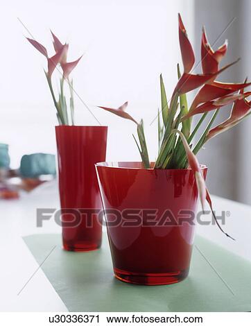Heliconias in red glass vases View Large Photo Image Stock Image - Heliconias in red glass vases. Fotosearch