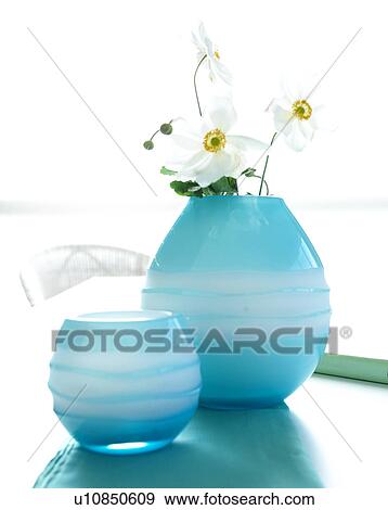 Stock Photo - Japanese anemone in light blue glass vases. Fotosearch