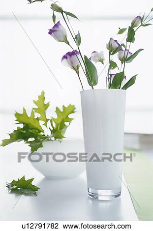 Stock Image - Lisianthus in a white glass vase. Fotosearch