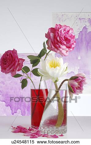Water lilies and roses in glass vases View Large Photo Image Stock Photography - Water lilies and roses in glass vases. Fotosearch