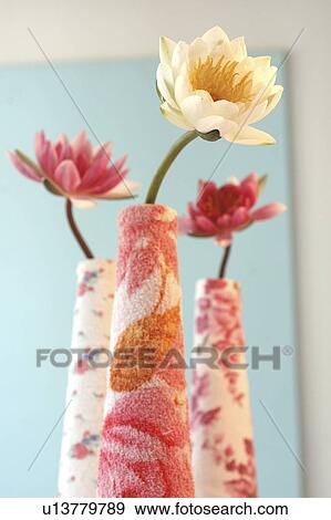 Water lilies in terry cloth vases View Large Photo Image Stock Photo - Water lilies in terry cloth vases. Fotosearch