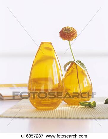 Zinnia in a yellow glass vase View Large Photo Image Stock Photo - Zinnia in a yellow glass vase. Fotosearch