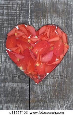 Board with a heart filled with petals View Large Photo Image Stock Image - Board with a heart filled with petals. Fotosearch