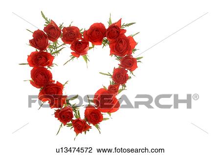 Heartshape wreath of roses View Large Photo Image Stock Image - Heartshape wreath of roses. Fotosearch