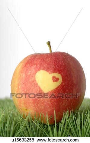 Herz Apfel Stock Foto U Fotosearch