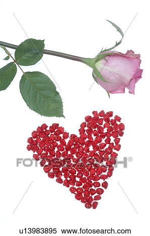 Pink rose and a red heart View Large Photo Image Stock Photography - Pink rose and a red heart. Fotosearch