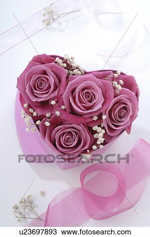 Pink rose blossoms in a heartshape box View Large Photo Image Stock Image - Pink rose blossoms in a heartshape box. Fotosearch