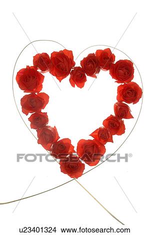 Picture - Rose blossom heart. Fotosearch