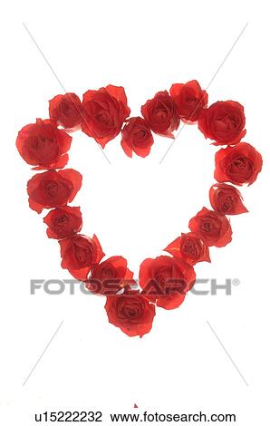 Stock Image - Rose blossom heart. Fotosearch