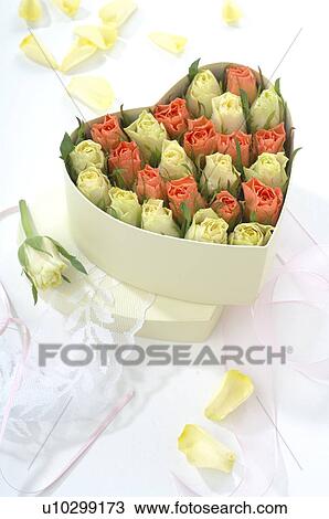 Roses in heartshape box View Large Photo Image Stock Image - Roses in heartshape box. Fotosearch