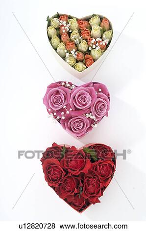 Three heartshape boxes filled with rose blossoms View Large Photo Image Stock Photo - Three heartshape boxes filled with rose blossoms. Fotosearch