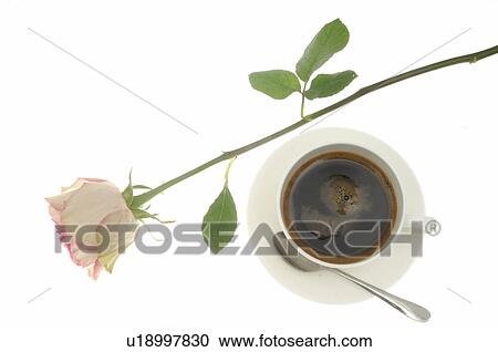 Stock Image - A pink rose and a cup of coffee. Fotosearch