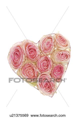 Heart shape box View Large Photo Image Stock Photo - Heart shape box. Fotosearch