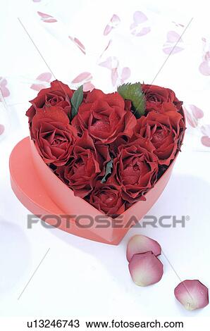 Stock Image - Heart shape box with red rose blossoms. Fotosearch
