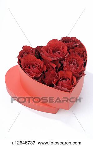 Heart Shape Box With Red Rose Blossoms Stock Photo