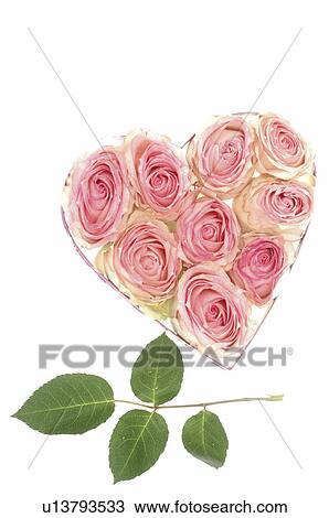 Heart shape box with rose blossoms and rose leaves View Large Photo Image Stock Image - Heart shape box with rose blossoms and rose leaves. Fotosearch