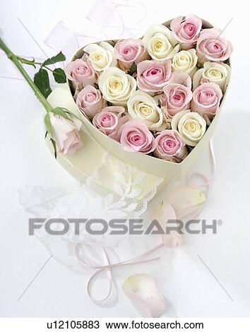 Stock Image - Heart shape box with rose blossoms. Fotosearch