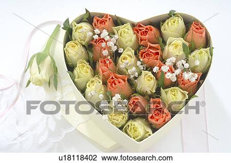 Heart shape box with rose blossoms View Large Photo Image Stock Image - Heart shape box with rose blossoms. Fotosearch