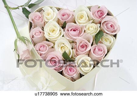 Stock Photography - Heart shape box with rose blossoms. Fotosearch