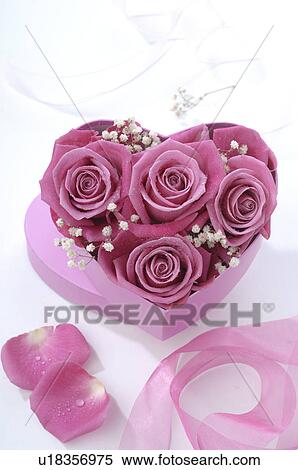 Heart shape box with rose blossoms with rose petals View Large Photo Image Stock Photography - Heart shape box with rose blossoms with rose petals. Fotosearch