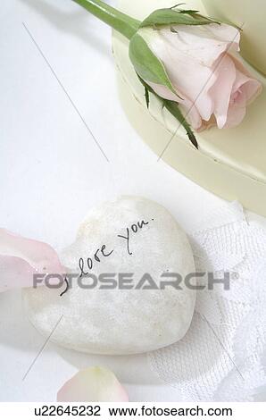 I love you ' written on a heart and a pink rose View Large Photo Image Stock Image - I love you ' written on a heart and a pink rose. Fotosearch