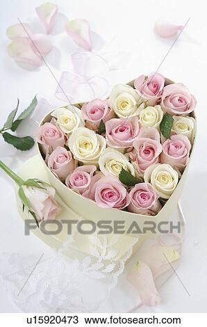 Roses in heartshape box View Large Photo Image Stock Image - Roses in heartshape box. Fotosearch