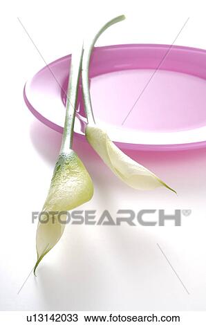 Pink plate decorated with flowers View Large Photo Image Stock Image - Pink plate decorated with flowers. Fotosearch