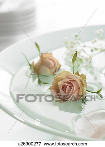 Stock Photo - Rose bossoms in a water bowl. Fotosearch