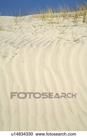 Stock Image - Dune. Fotosearch