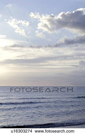 Picture - Evening mood at the sea. Fotosearch