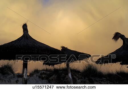 Stock Photo - Evening mood on beach with sunshades. Fotosearch