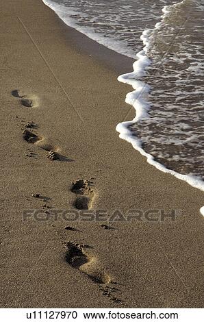 Footprint in the sand View Large Photo Image Stock Image - Footprint in the sand. Fotosearch