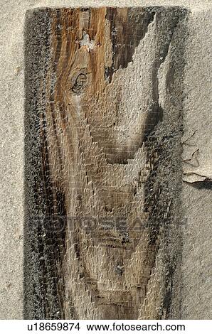 Picture - Plank in the sand. Fotosearch