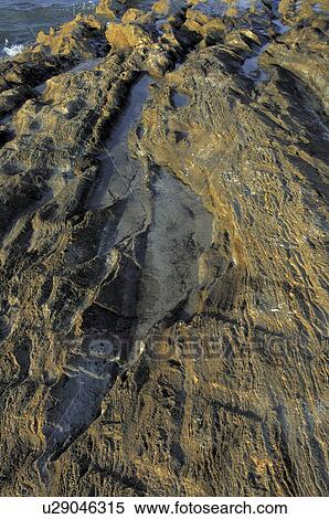 Stock Photography - Rocky beach. Fotosearch