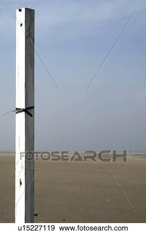 Stock Photo - White pale on beach. Fotosearch