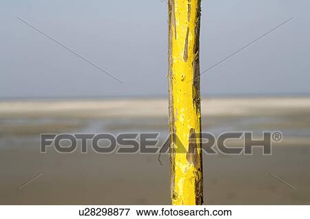 Stock Photo - Yellow pale. Fotosearch