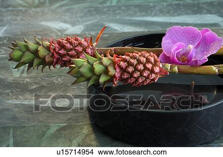 Picture - Arangement of bromelia, orchid blossom and a water bowl. Fotosearch