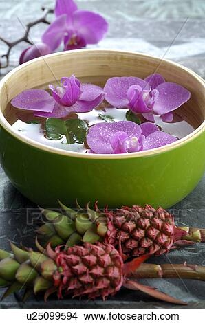 Picture - Arangement of bromelia, orchid blossom and a water bowl. Fotosearch