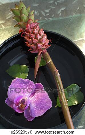 Stock Image - Arangement of bromelia, orchid blossom and a water bowl. Fotosearch