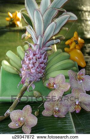 Stock Image - Arrangement of bromelias, bananas and orchid blossoms. Fotosearch